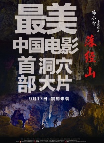 我的好兄弟6免费观看